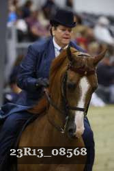 23R13_08568 thumbnail