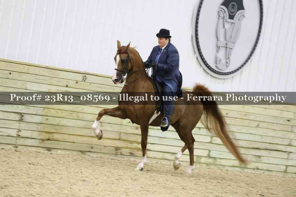 Proof Number 23R13_08569
