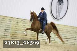 23R13_08569 thumbnail
