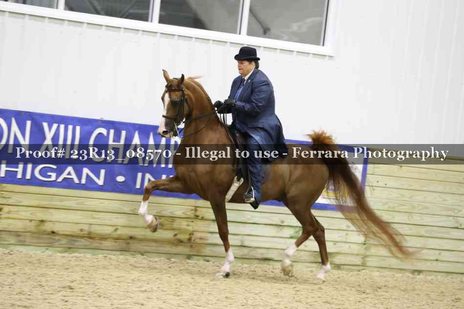 Proof Number 23R13_08570