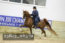 23R13_08570 thumbnail