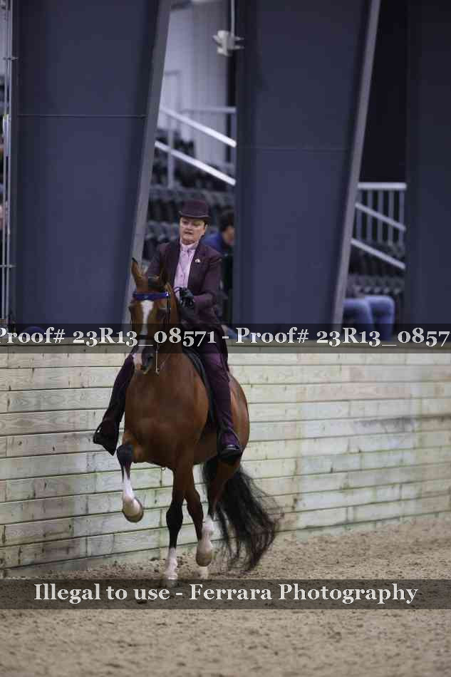 Proof Number 23R13_08571