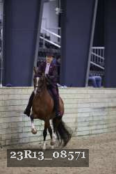 23R13_08571 thumbnail