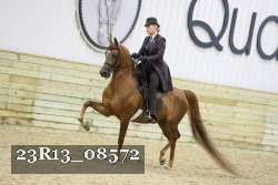 23R13_08572 thumbnail
