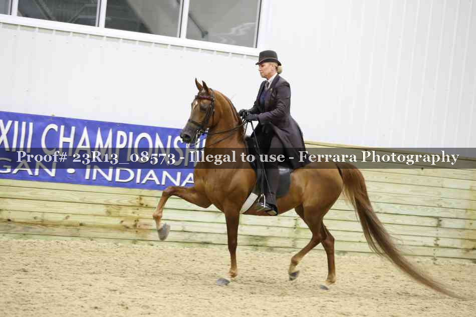Proof Number 23R13_08573