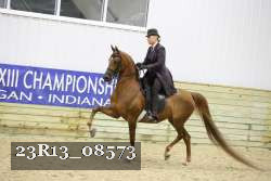 23R13_08573 thumbnail