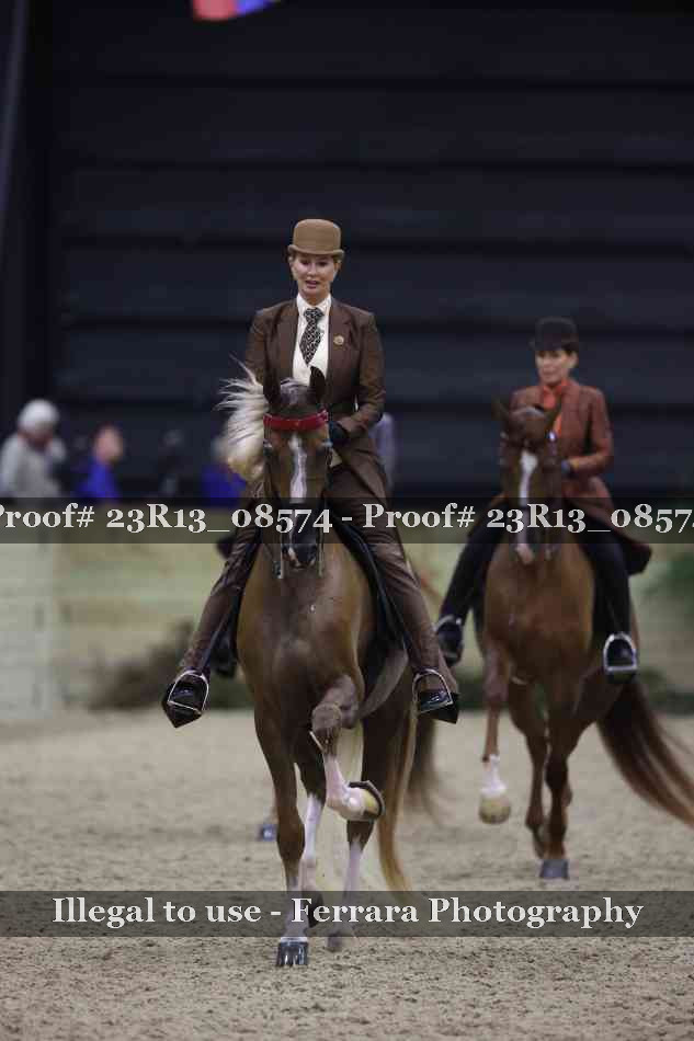 Proof Number 23R13_08574