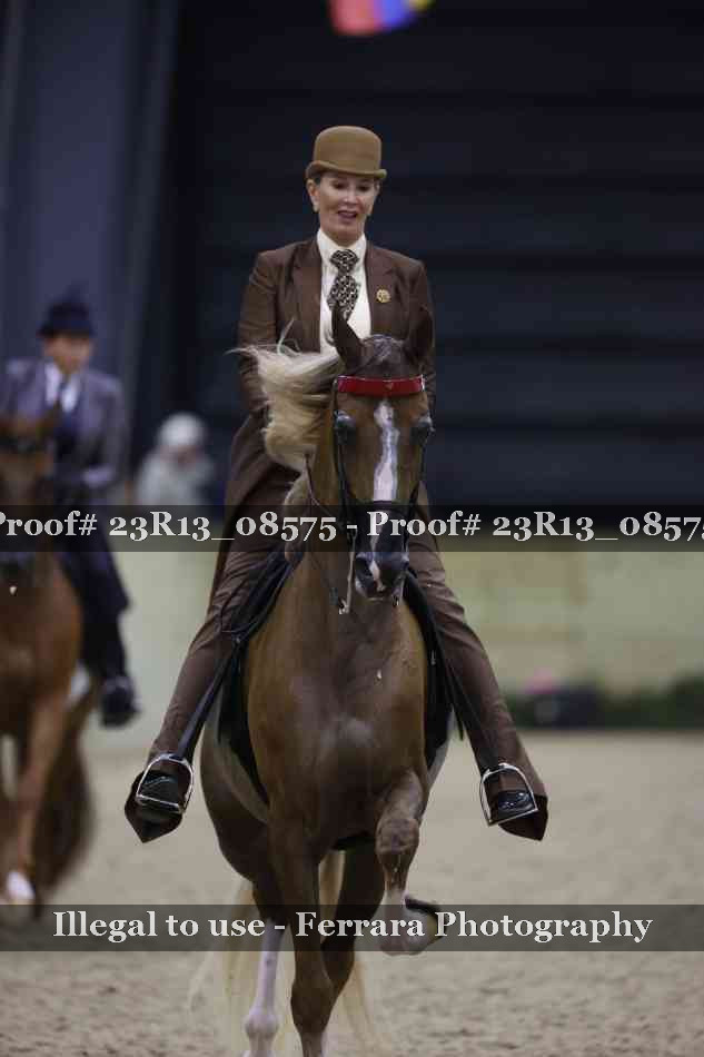 Proof Number 23R13_08575