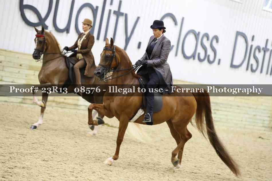 Proof Number 23R13_08576