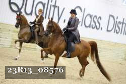 23R13_08576 thumbnail
