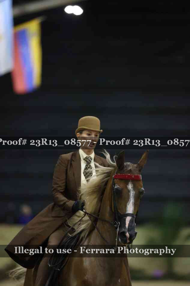 Proof Number 23R13_08577