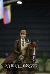23R13_08577 thumbnail