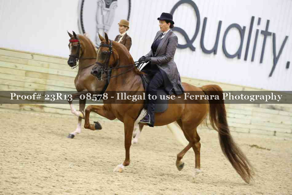 Proof Number 23R13_08578