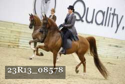 23R13_08578 thumbnail