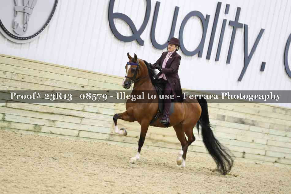 Proof Number 23R13_08579