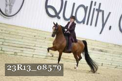 23R13_08579 thumbnail