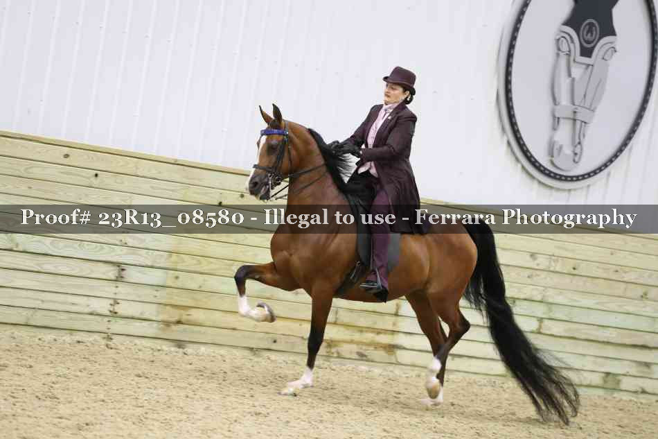 Proof Number 23R13_08580