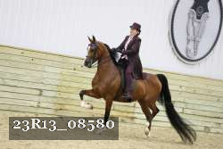 23R13_08580 thumbnail