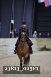 23R13_08581 thumbnail