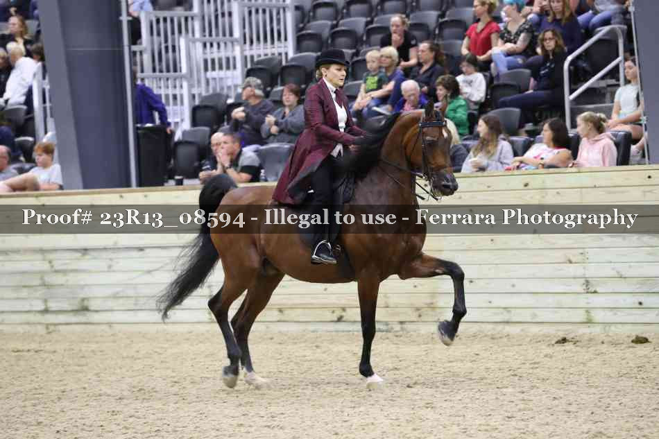 Proof Number 23R13_08594