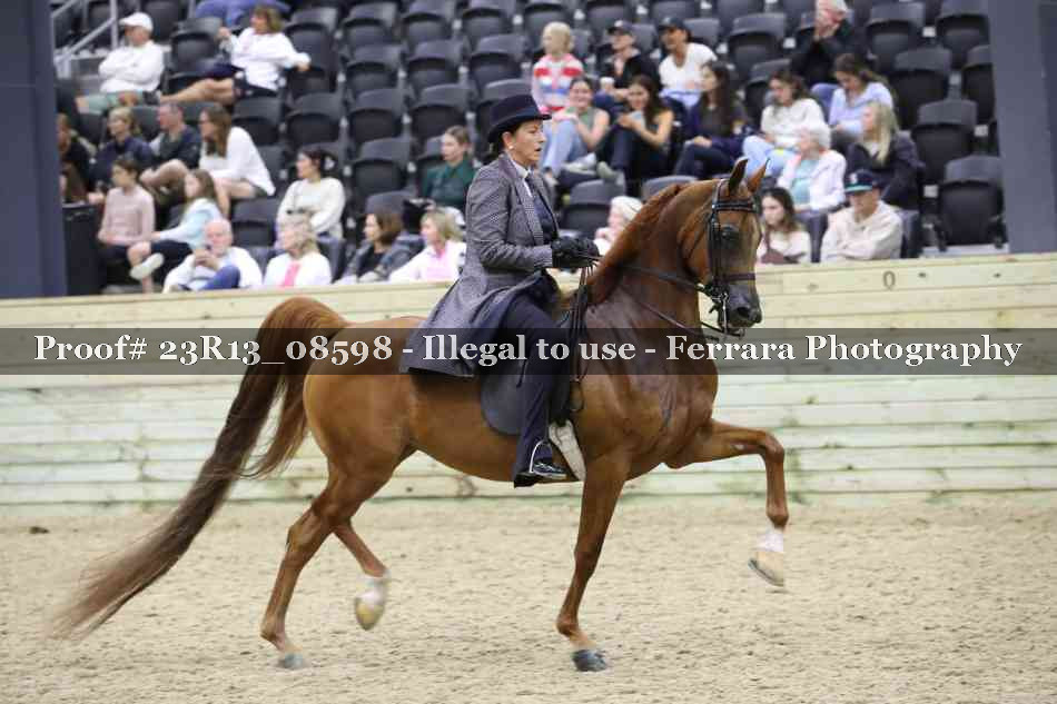 Proof Number 23R13_08598