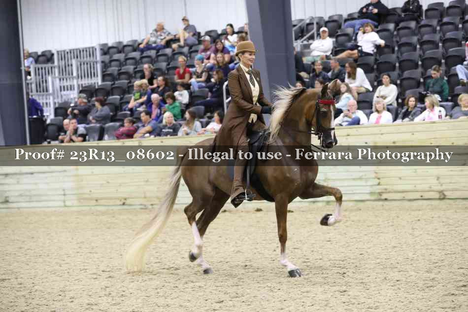 Proof Number 23R13_08602