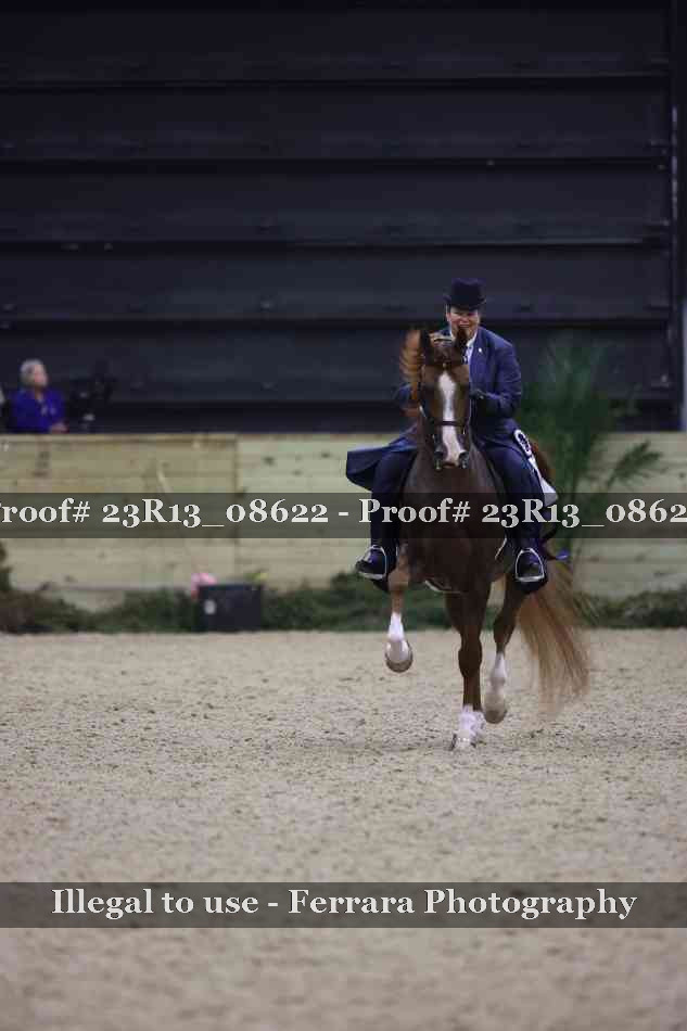 Proof Number 23R13_08622