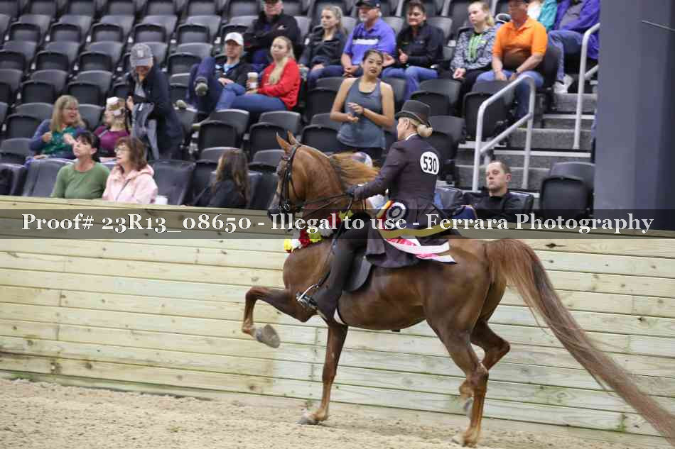 Proof Number 23R13_08650