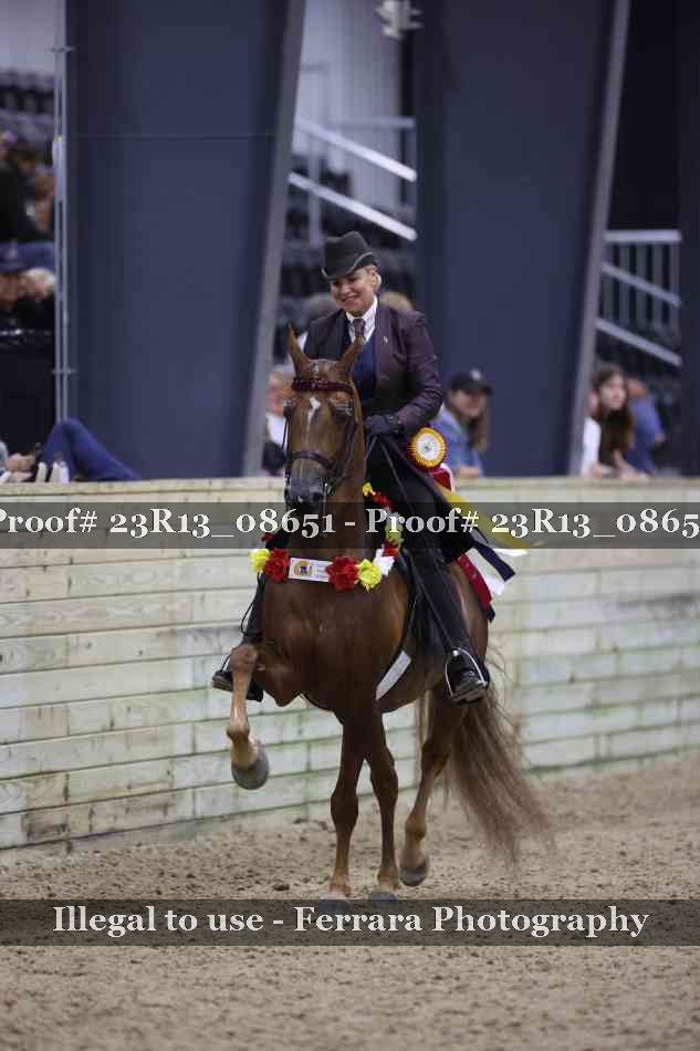 Proof Number 23R13_08651
