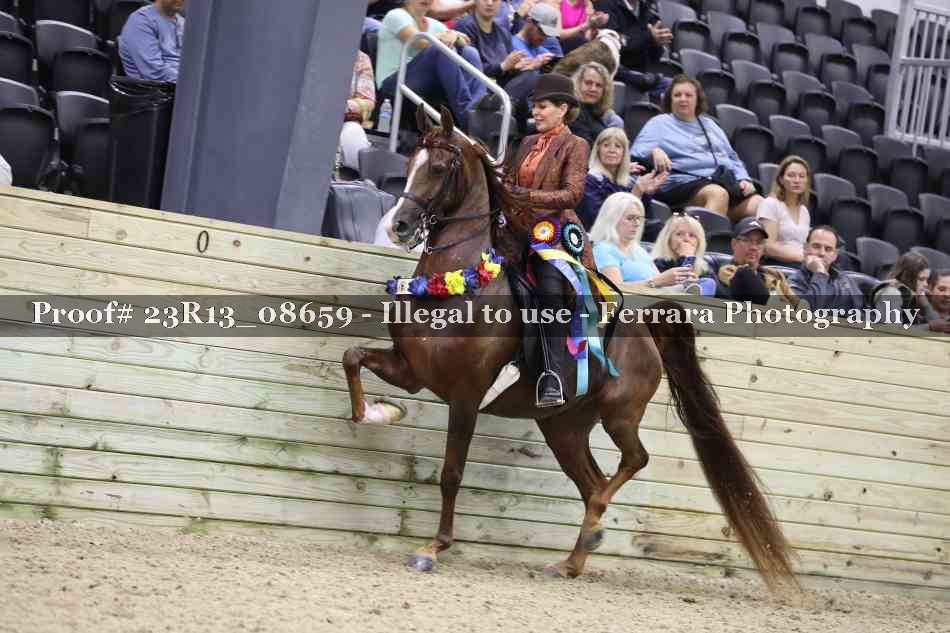 Proof Number 23R13_08659