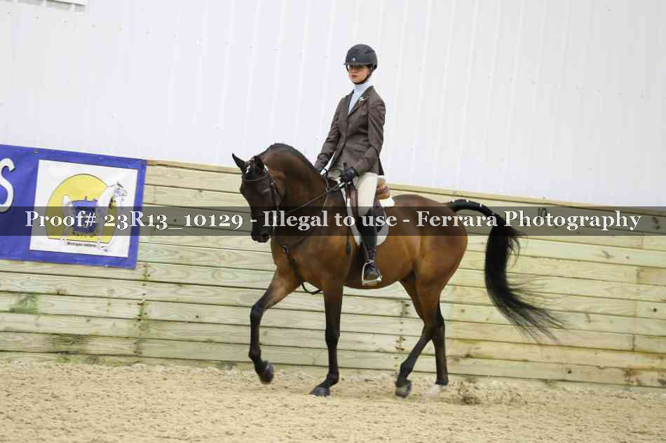 Proof Number 23R13_10129
