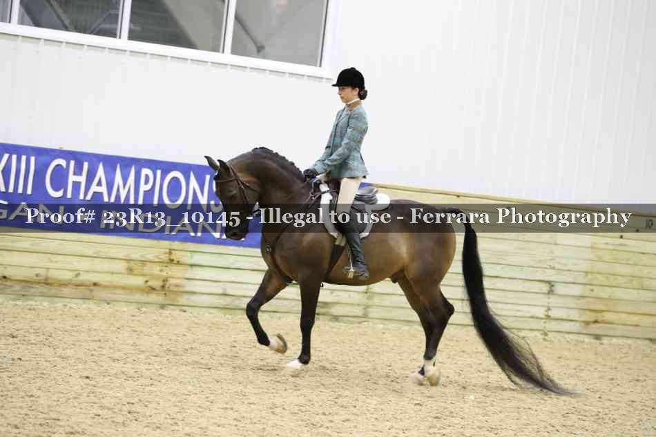 Proof Number 23R13_10145