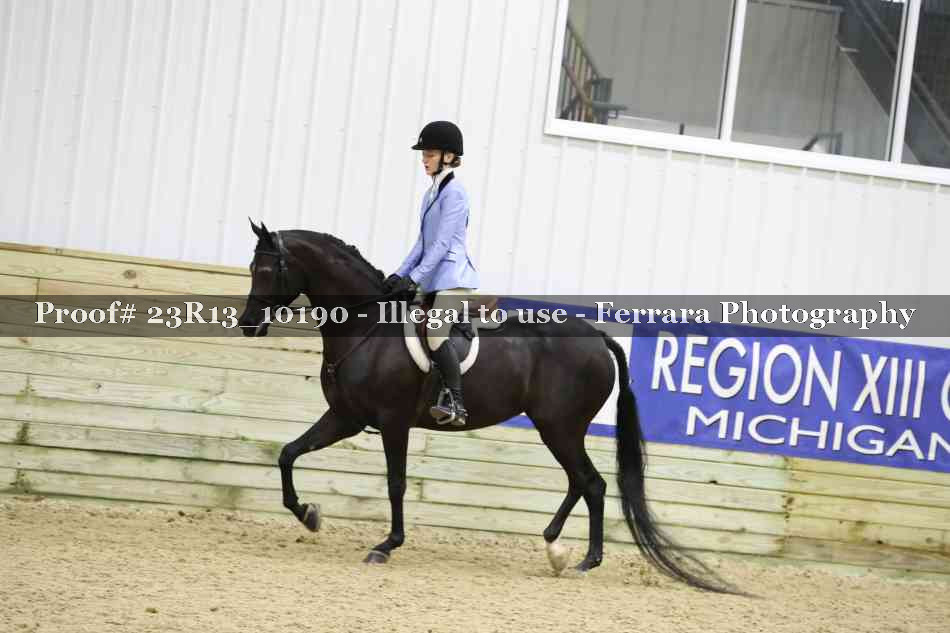 Proof Number 23R13_10190