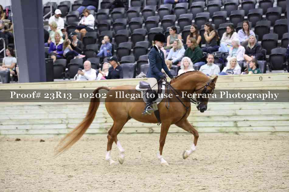 Proof Number 23R13_10202