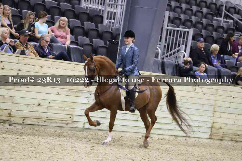 Proof Number 23R13_10222
