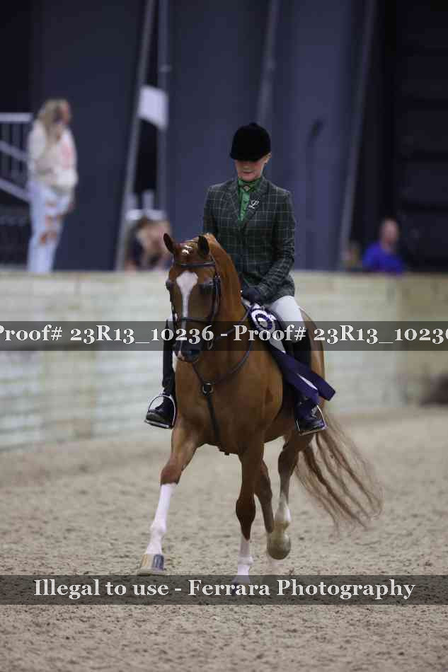 Proof Number 23R13_10236