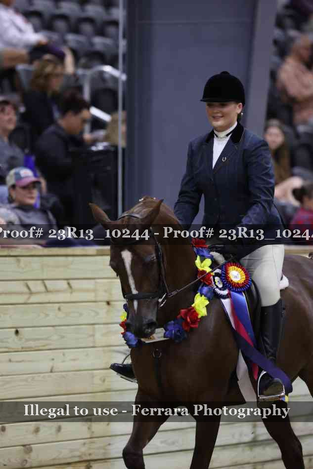 Proof Number 23R13_10244
