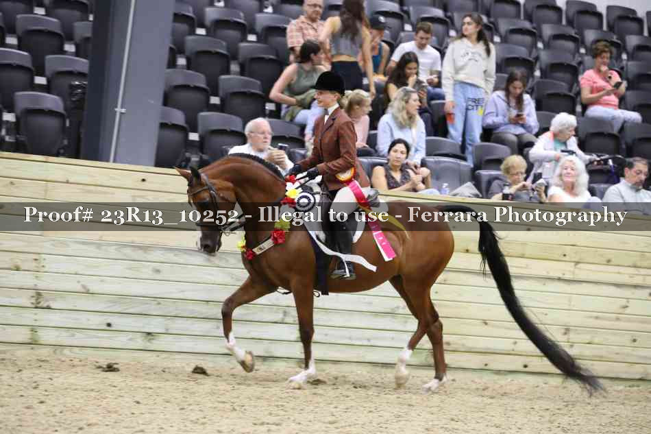 Proof Number 23R13_10252