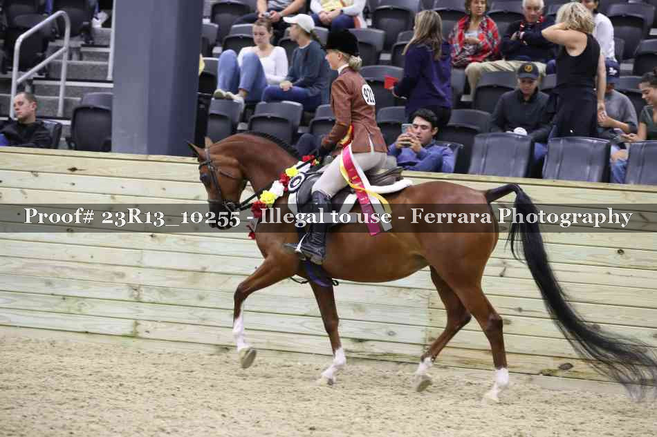 Proof Number 23R13_10255