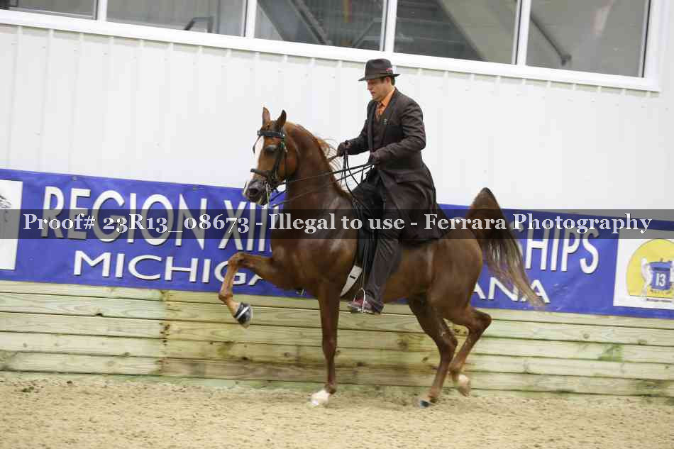 Proof Number 23R13_08673