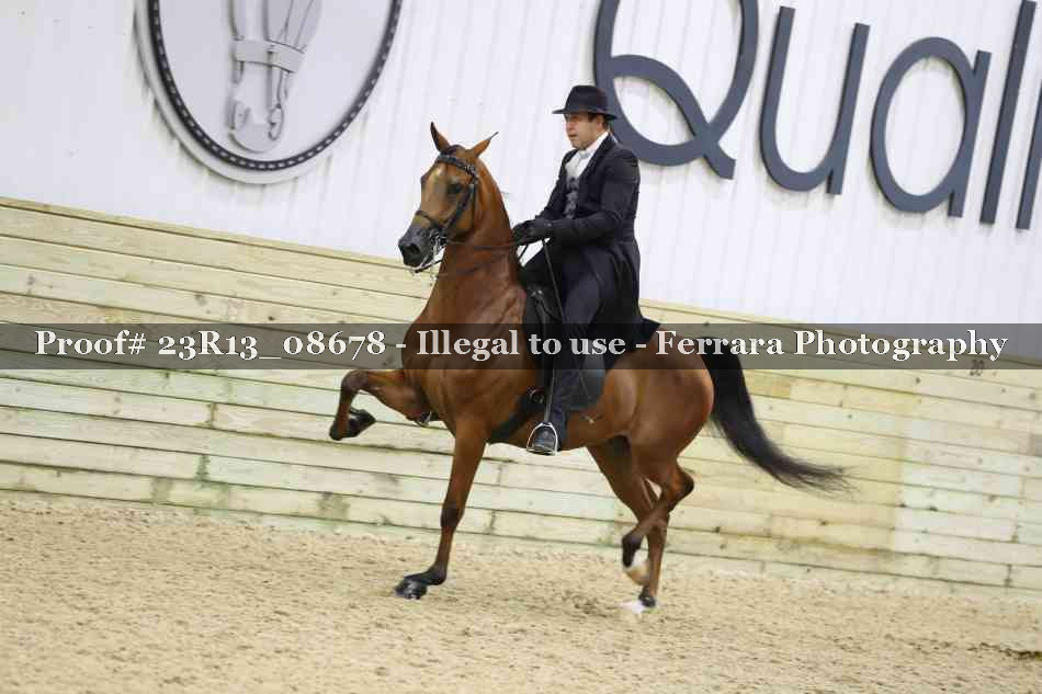Proof Number 23R13_08678
