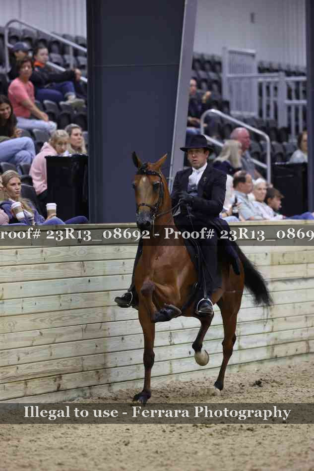 Proof Number 23R13_08692