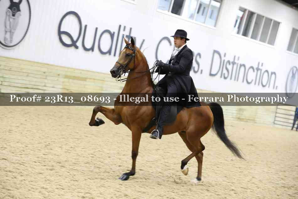 Proof Number 23R13_08693