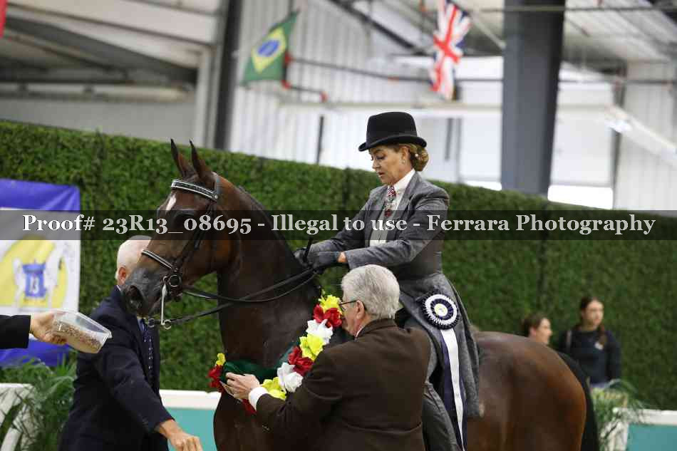 Proof Number 23R13_08695