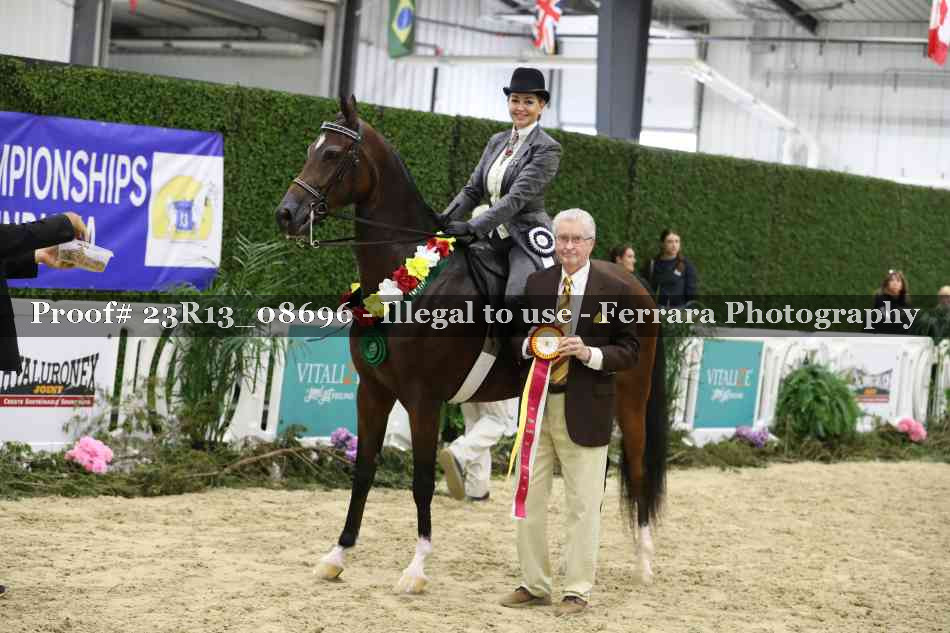 Proof Number 23R13_08696