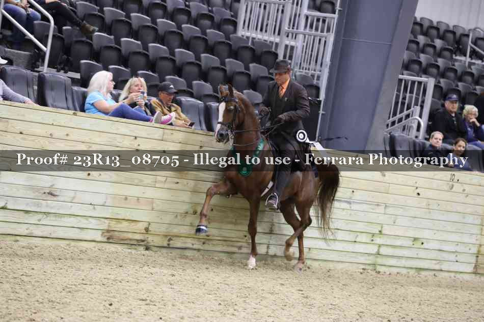 Proof Number 23R13_08705