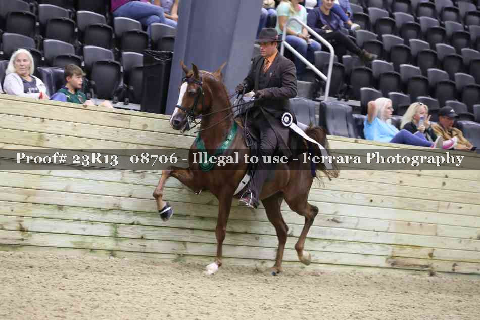 Proof Number 23R13_08706
