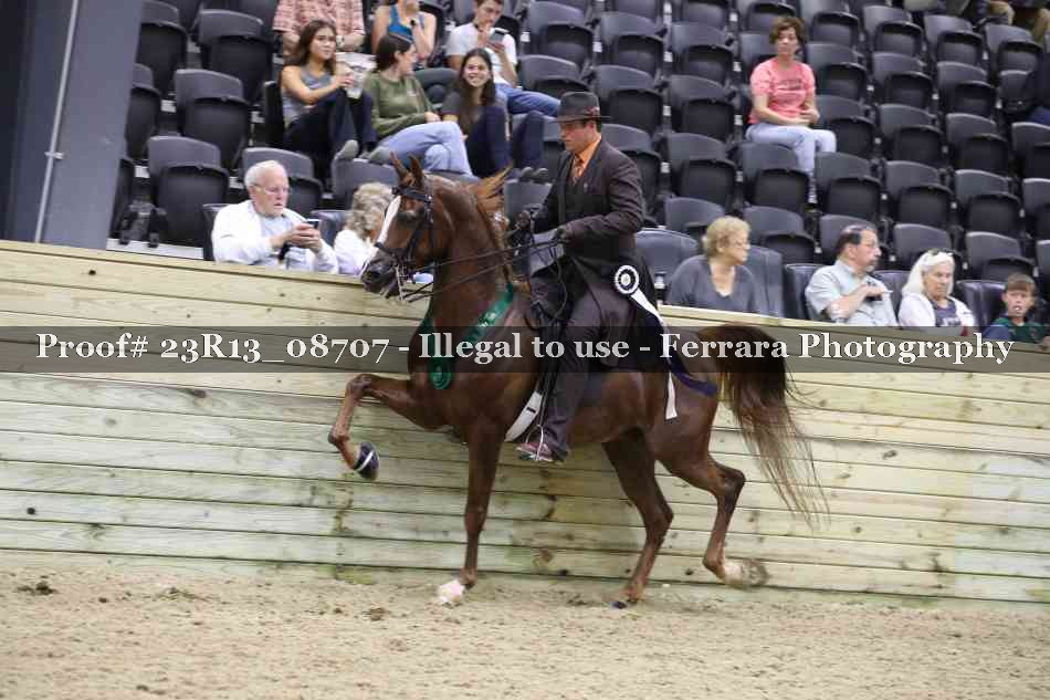 Proof Number 23R13_08707