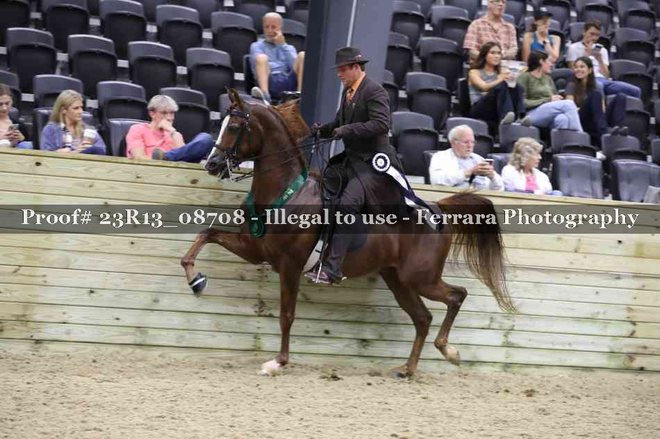 Proof Number 23R13_08708