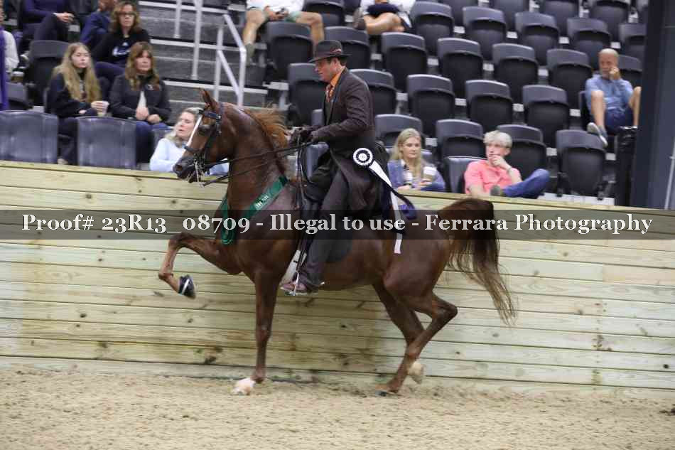 Proof Number 23R13_08709